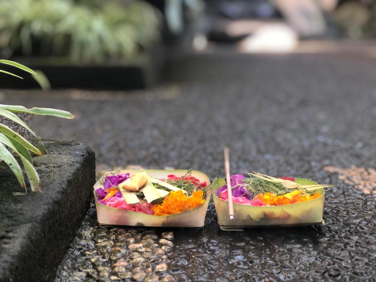 Depa House Hotel Ubud  Bagian luar foto